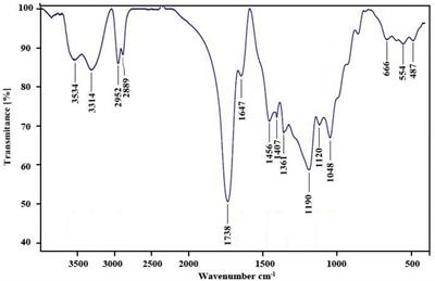 Thymol Nanopolymer Synthesis and Its Effects on Morphine Withdrawal Syndrome in Comparison With Clonidine in Rats